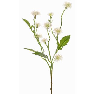 Fiore di campo artificiale HOLLA, bianco, 55cm, Ø3-4cm Fiore di campo artificiale HOLLA, bianco, 55cm, Ø3-4cm