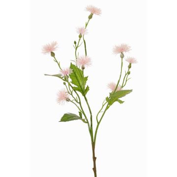Fiore di campo artificiale HOLLA, rosa pallido, 55cm, Ø3-4cm Fiore di campo artificiale HOLLA, rosa pallido, 55cm, Ø3-4cm
