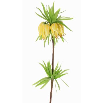 Fiore artificiale corona imperiale IMST, giallo, 65cm, Ø11cm Fiore artificiale corona imperiale IMST, giallo, 65cm, Ø11cm