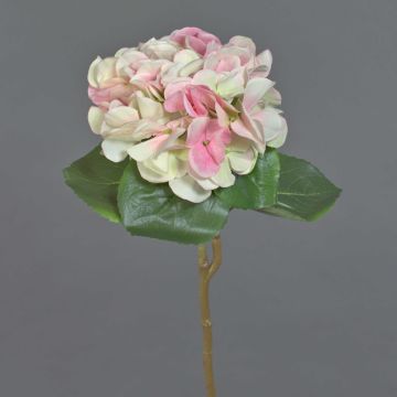 Fiore artificiale ortensia CHIDORI, crema-rosa, 60 cm, Ø 20 cm