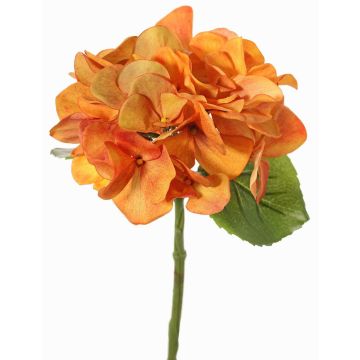 Fiori artificiali di ortensie CHIDORI, arancione, 30cm, Ø13cm Fiori artificiali di ortensie CHIDORI, arancione, 30cm, Ø13cm