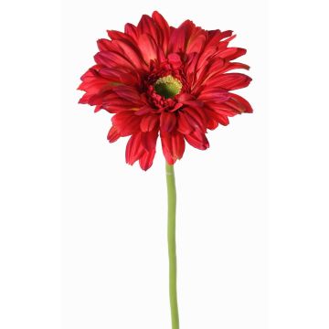 Gerbera artificiale HELLI, rossa, 65cm, Ø12cm Gerbera artificiale HELLI, rossa, 65cm, Ø12cm