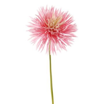 Crisantemo artificiale NANDITA, rosa-crema, 60cm, Ø15cm Crisantemo artificiale NANDITA, rosa-crema, 60cm, Ø15cm