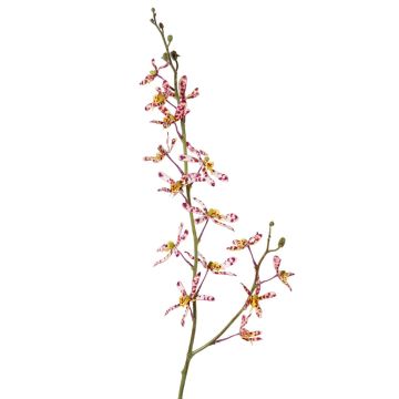Ramo di orchidea Cattleya artificiale TRASSA, rosa-bianco-giallo, 80 cm