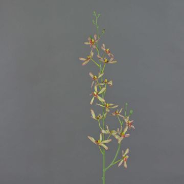 Ramo di orchidea Cattleya artificiale TRASSA, verde chiaro-rosso, 80 cm