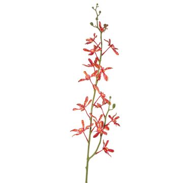 Ramo di orchidea Cattleya artificiale TRASSA, rosso-arancio, 80 cm Ramo di orchidea Cattleya artificiale TRASSA, rosso-arancio, 80 cm