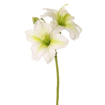 Fiore artificiale giglio NEULIDA con fiori, bianco-verde, 65cm, Ø11cm