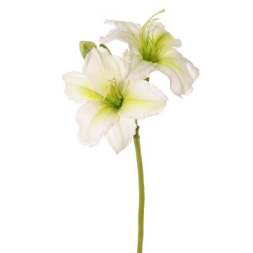 Fiore artificiale giglio NEULIDA con fiori, bianco-verde, 65 cm, Ø11 cm Fiore artificiale giglio NEULIDA con fiori, bianco-verde, 65 cm, Ø11 cm