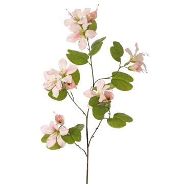 Ramo artificiale Bauhinia ENSANA, rosa pallido, 120cm