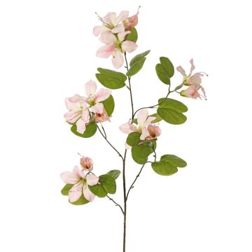 Ramo artificiale Bauhinia ENSANA, rosa delicato, 120 cm