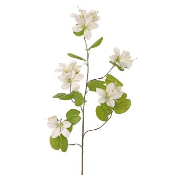 Ramo artificiale Bauhinia ENSANA, bianco, 120cm