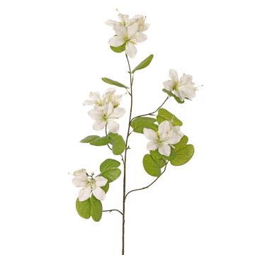 Ramo artificiale Bauhinia ENSANA, bianco, 120 cm