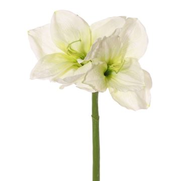 Amaryllis artificiale NARWELA, bianco-verde, 70cm, Ø10-13cm