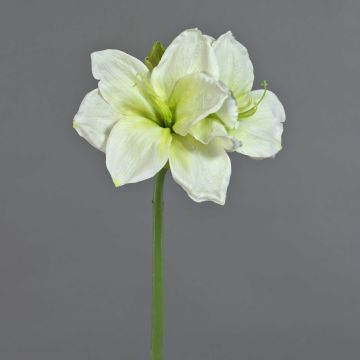 Amaryllis artificiale NARWELA, bianco-verde, 70 cm, Ø10-13 cm Amaryllis artificiale NARWELA, bianco-verde, 70 cm, Ø10-13 cm