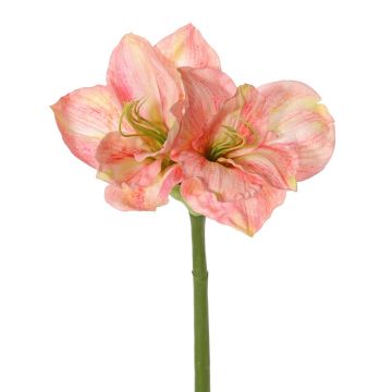 Amaryllis artificiale NARWELA, fucsia-rosa-verde, 70cm, Ø10-13cm