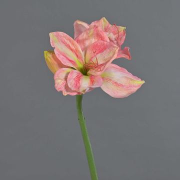 Amaryllis artificiale NARWELA, rosa-crema, 70 cm, Ø10-13 cm Amaryllis artificiale NARWELA, rosa-crema, 70 cm, Ø10-13 cm