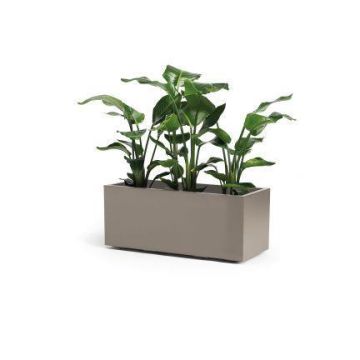 Fioriera rettangolare NASTASJA in plastica riciclata, con serbatoio per l'acqua, rotelle, taupe, 99,5x39,5x38 cm, 102 l Fioriera rettangolare NASTASJA in plastica riciclata, con serbatoio per l'acqua, rotelle, taupe, 99,5x39,5x38 cm, 102 l