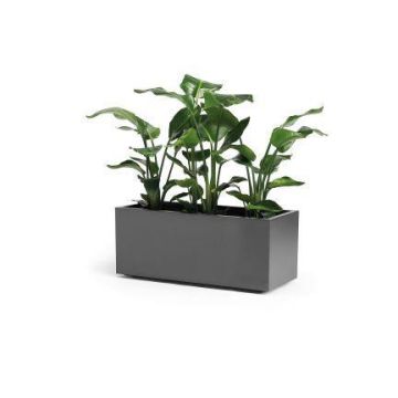 Fioriera rettangolare NASTASJA in plastica riciclata, con serbatoio per l'acqua, rotelle, antracite, 99,5x39,5x38 cm, 102 L Fioriera rettangolare NASTASJA in plastica riciclata, con serbatoio per l'acqua, rotelle, antracite, 99,5x39,5x38 cm, 102 L
