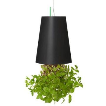 Piantina di menta decorativa LEVONT in vaso decorativo, verde, 19cm, Ø14cm Piantina di menta decorativa LEVONT in vaso decorativo, verde, 19cm, Ø14cm