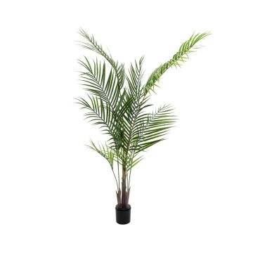 Palma areca artificiale AMICA resistente alle intemperie, 165cm