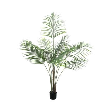Palma areca artificiale AMICA resistente alle intemperie, 185cm