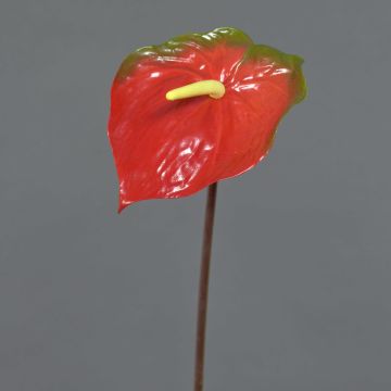 Anturio artificiale MOIRA, rosso-verde, 75cm, 13x20cm