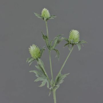 Eryngium artificiale SVEA, verde, 40cm, Ø2-3cm