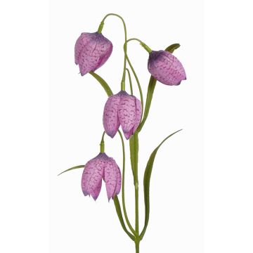 Fritillaria meleagris finta SANEM, lilla, 45cm, Ø3cm Fritillaria meleagris finta SANEM, lilla, 45cm, Ø3cm