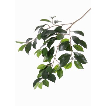 Ramo di ficus microcarpa sintetico BHAO, verde, 65cm
