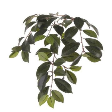 Ramo di ficus microcarpa sintetico BHAO, verde, 65cm