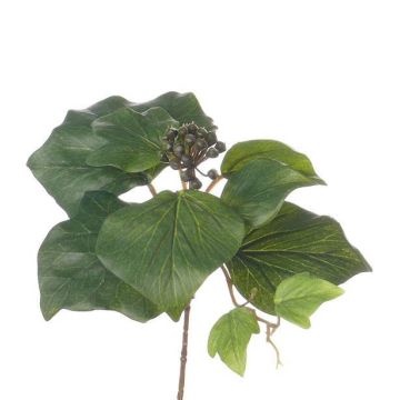 Ramo di edera artificiale MYKEL, verde, 25cm