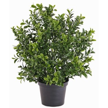 Pianta di bosso sintetico TOM uv resistente, verde, 30cm, Ø20cm