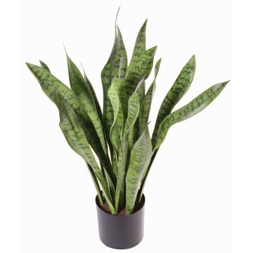 Sansevieria artificiale BEYZA, verde, 80cm Sansevieria artificiale BEYZA, verde, 80cm
