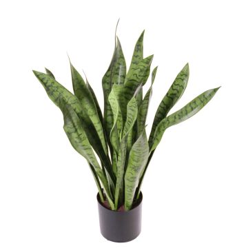 Sansevieria artificiale BEYZA, verde, 80cm