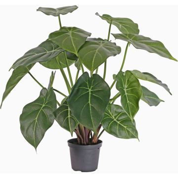 Pianta di singonio finta PERAMI, verde, 45cm Pianta di singonio finta PERAMI, verde, 45cm