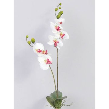 Orchidea artificiale NAARA su gambo, bianco-fucsia, 75cm, Ø6-8cm Orchidea artificiale NAARA su gambo, bianco-fucsia, 75cm, Ø6-8cm