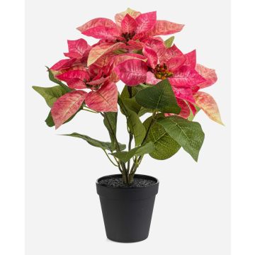 Stella di Natale artificiale GRULEN in vaso decorativo, rosa, 40 cm