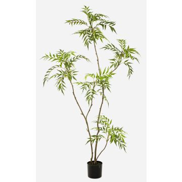 Albero artificiale di mogano KLEANA, tronchi artificiali, verde, 180 cm