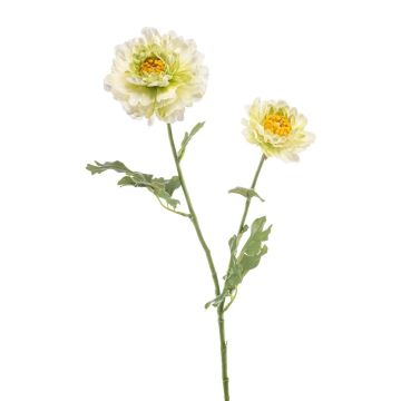 Fiore decorativo ranuncolo LOLYN, verde-crema, 65 cm Fiore decorativo ranuncolo LOLYN, verde-crema, 65 cm