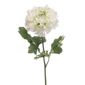 Ranuncolo artificiale ULISAN, verde crema, 60 cm, Ø 14 cm