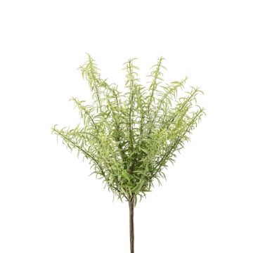 Erbe aromatiche artificiali Rosmarino SEREGON su stelo, verde-grigio, 30cm Erbe aromatiche artificiali Rosmarino SEREGON su stelo, verde-grigio, 30cm