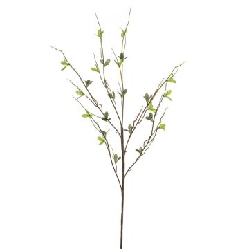 Ramo artificiale di betulla SIVANI, verde, 90 cm