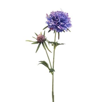 Ramo artificiale di scabiosa BASOLO, viola-blu, 55 cm Ramo artificiale di scabiosa BASOLO, viola-blu, 55 cm