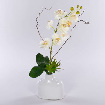 Orchidea Phalaenopsis artificiale TIALDA, succulente, vaso di ceramica, bianco, 50cm Orchidea Phalaenopsis artificiale TIALDA, succulente, vaso di ceramica, bianco, 50cm