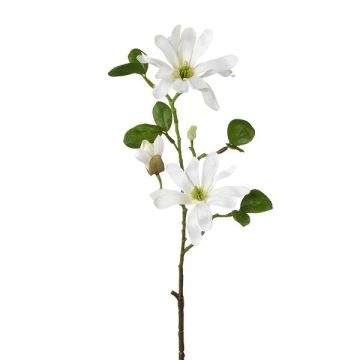 Ramo di fiori artificiali magnolia stellata BLOVI, crema, 60 cm