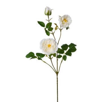 Ramo di fiori artificiali peonia KROVEL, crema, 75 cm