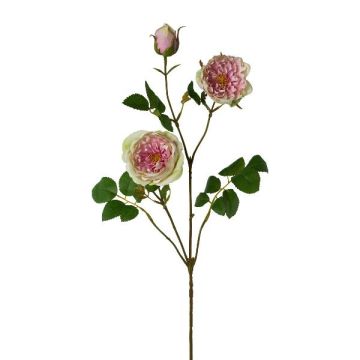 Ramo di fiori artificiali peonia KROVEL, verde-rosa, 75 cm