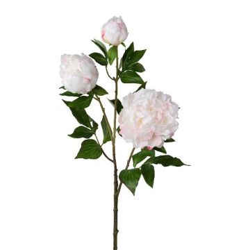 Ramo di fiori artificiali peonia CRUNT, bianco, 85 cm Ramo di fiori artificiali peonia CRUNT, bianco, 85 cm