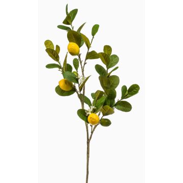 Ramo di limone artificiale DUNKAN con frutti, fiori, giallo, 95 cm Ramo di limone artificiale DUNKAN con frutti, fiori, giallo, 95 cm