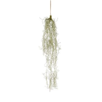 Succulenta artificiale Tillandsia usneoides sospesa RUWEN, verde, 90 cm